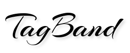 TagBand Skin