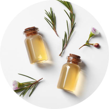 TagRecede Bee Venom Spray